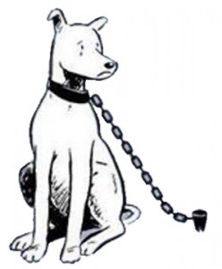 dog-chain